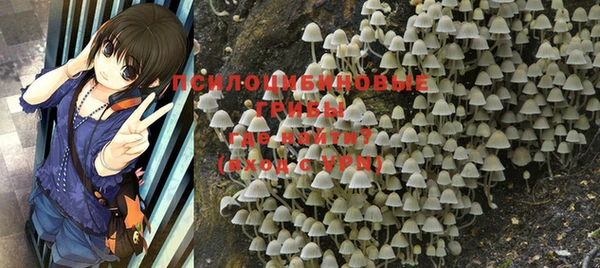 марки nbome Зерноград