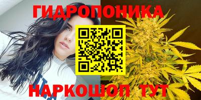 СК Берёзовский