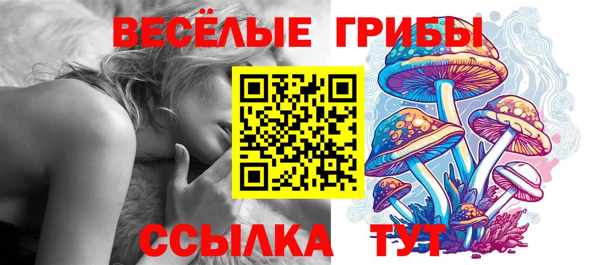 Псилоцибиновые грибы прущие грибы Брянск