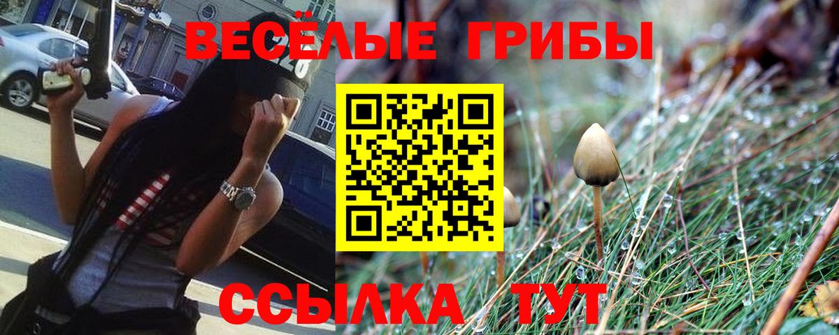Галлюциногенные грибы ЛСД  Вход с VPN  Брянск 