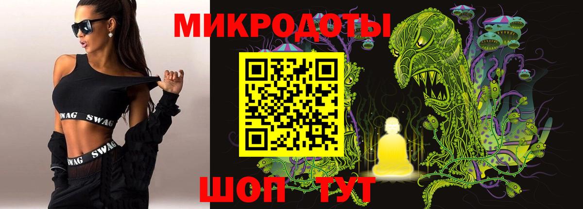 Псилоцибиновые грибы мицелий Брянск